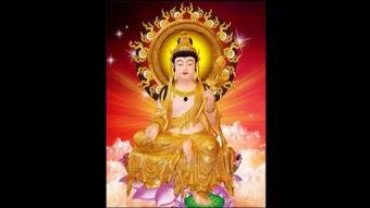 佛教视频,视频中的心灵启迪之旅